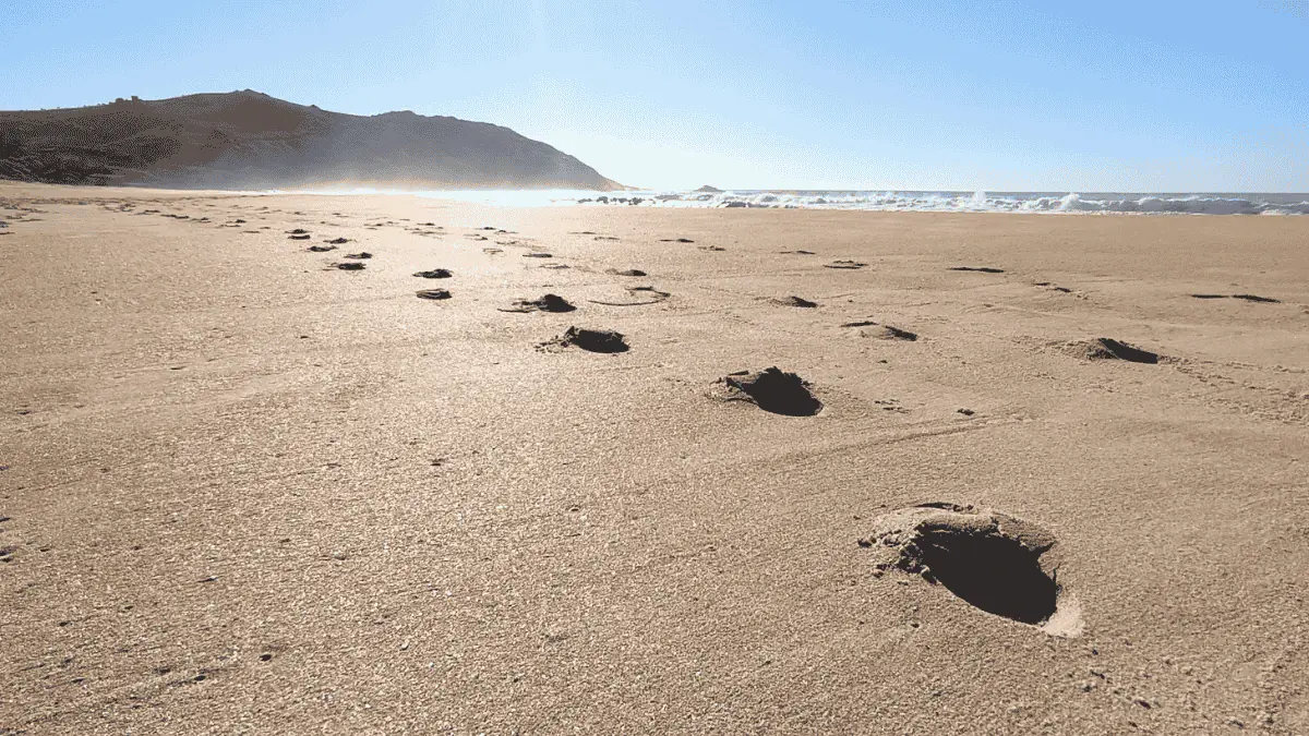 Beira mar praia da Silveira